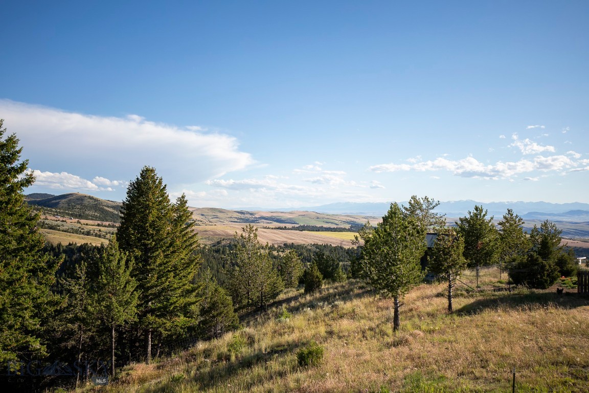 Ponderosa Pines - Residential