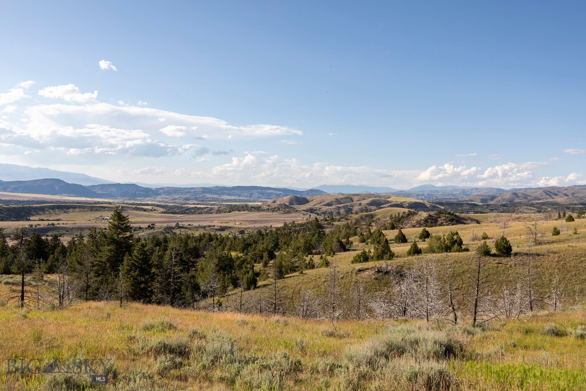 Ponderosa Pines - Residential