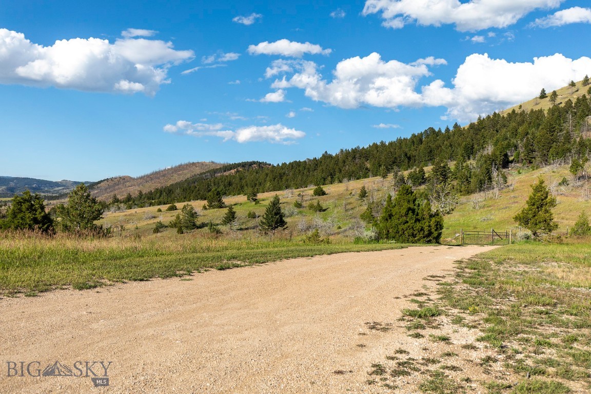 Ponderosa Pines - Residential