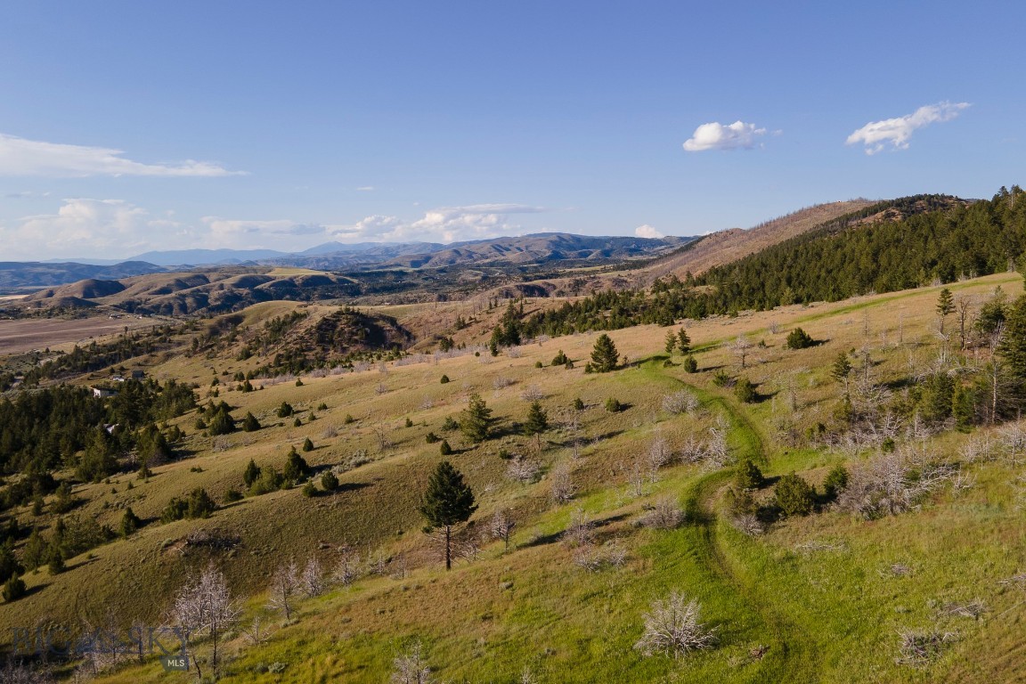 Ponderosa Pines - Residential