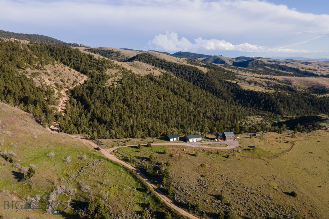 Ponderosa Pines - Residential