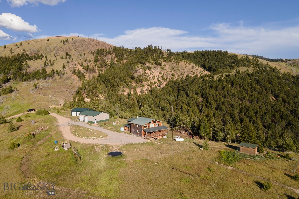 Ponderosa Pines - Residential