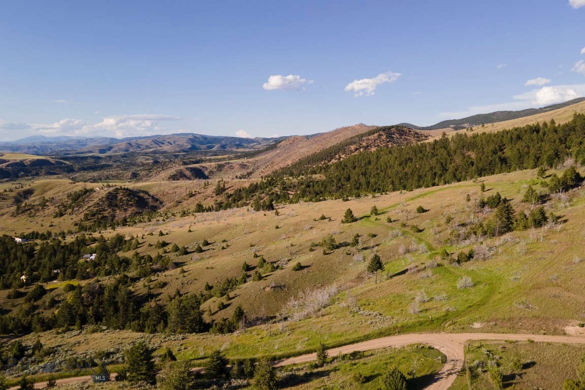 Ponderosa Pines - Residential