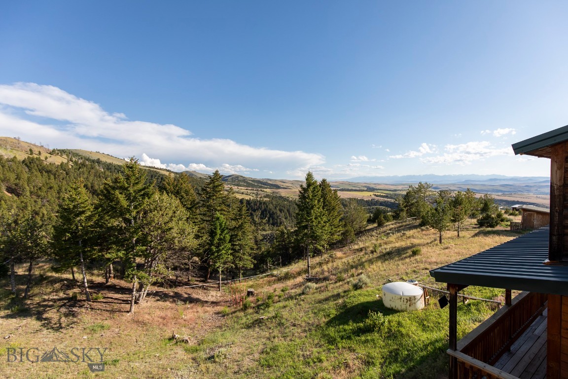 Ponderosa Pines - Residential