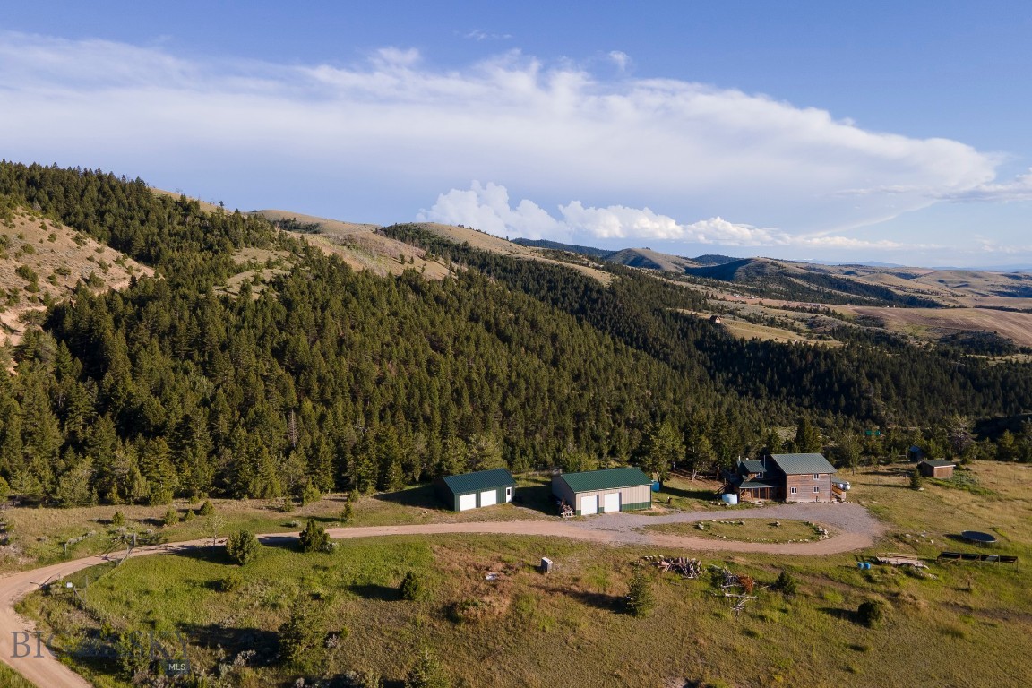Ponderosa Pines - Residential