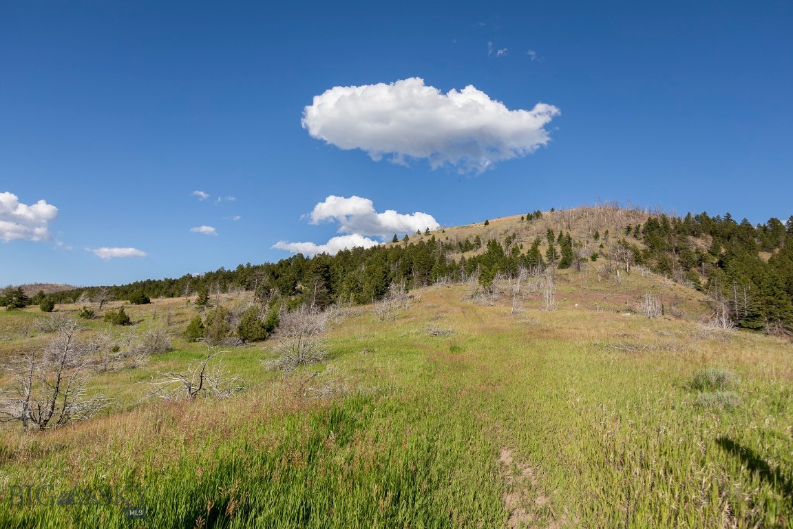Ponderosa Pines - Residential