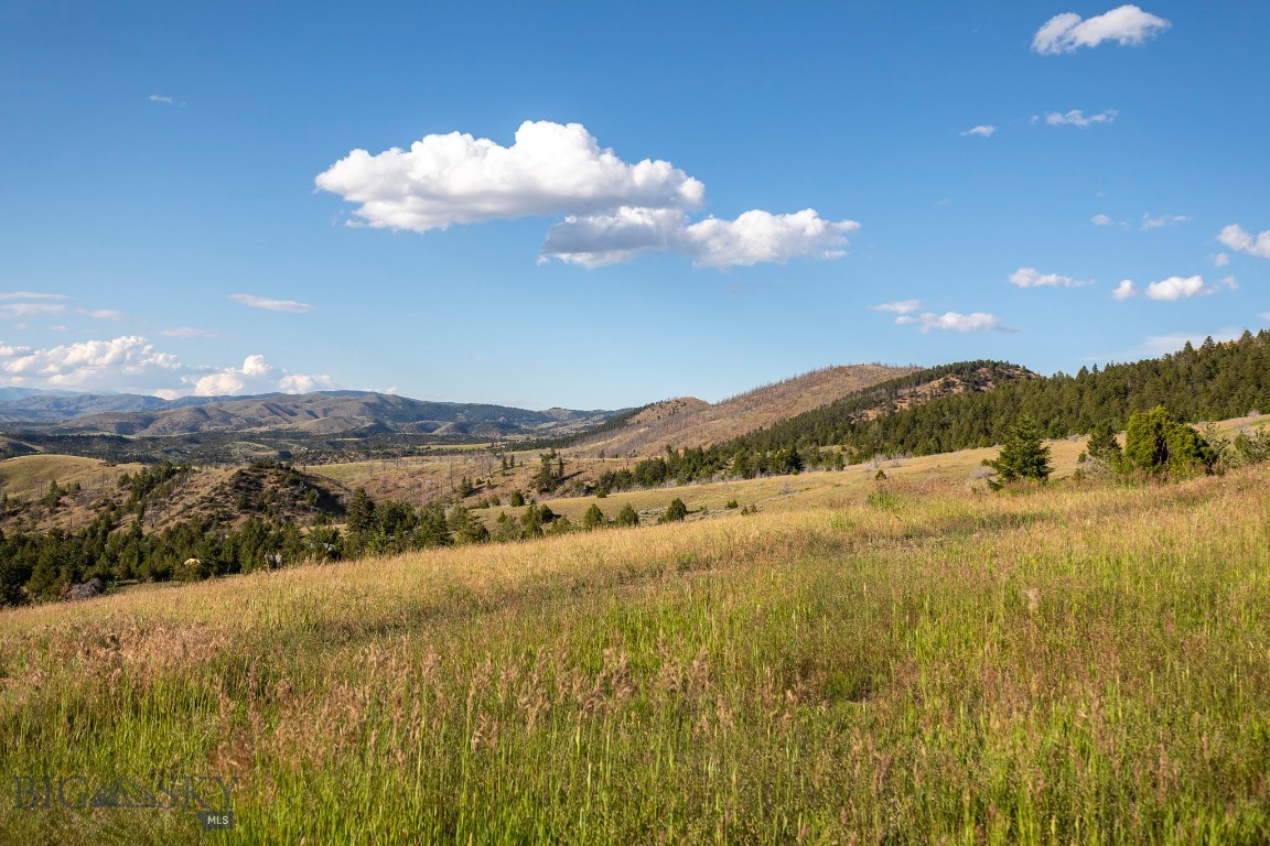 Ponderosa Pines - Residential