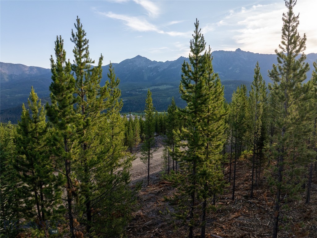 Moonlight Basin West 1 - Land