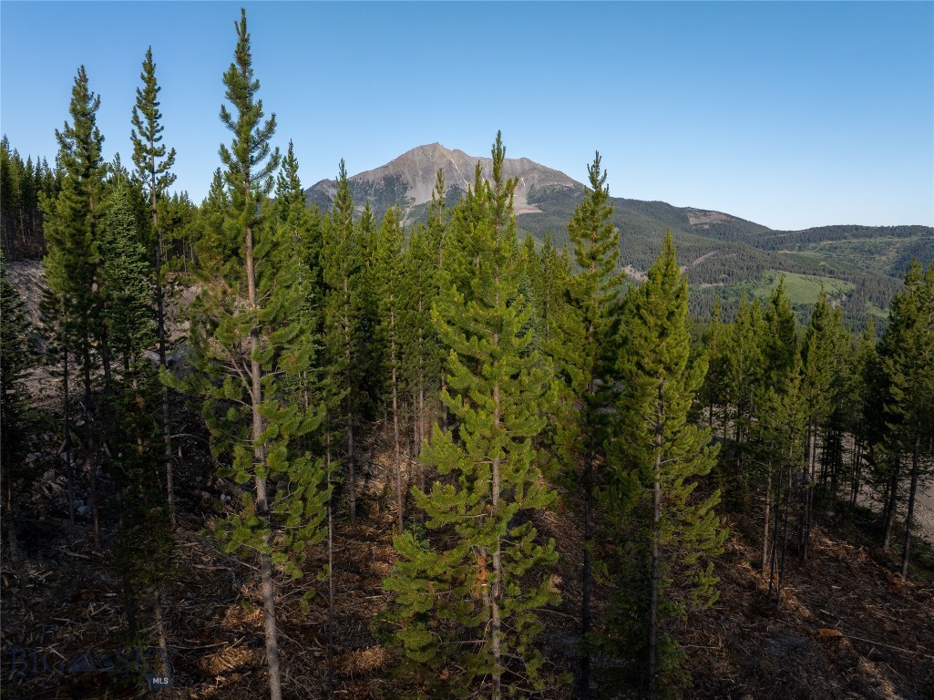 Moonlight Basin West 1 - Land