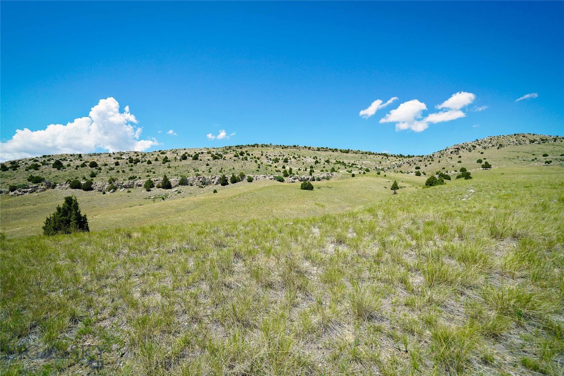 Gallatin River Ranch - Land