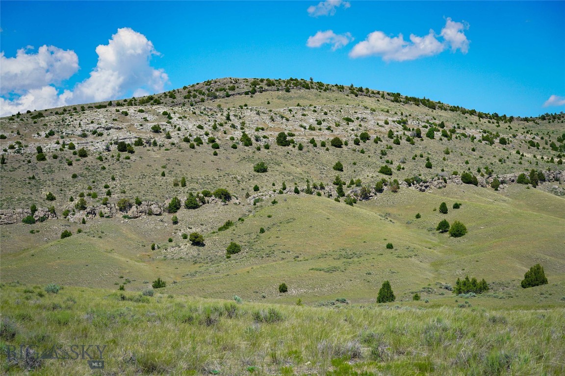 Gallatin River Ranch - Land
