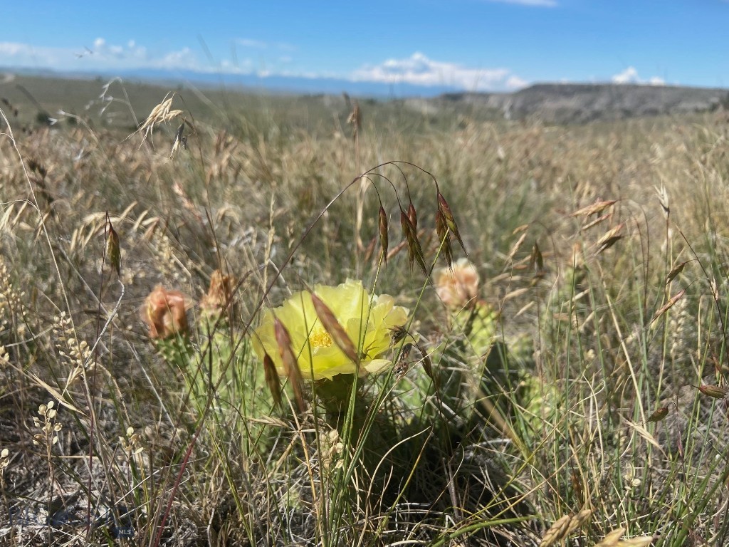 Gallatin River Ranch - Land