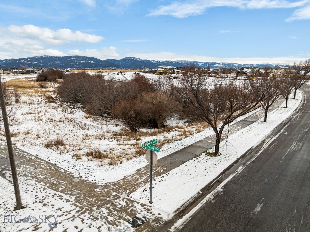 Meadow Bridge - Land