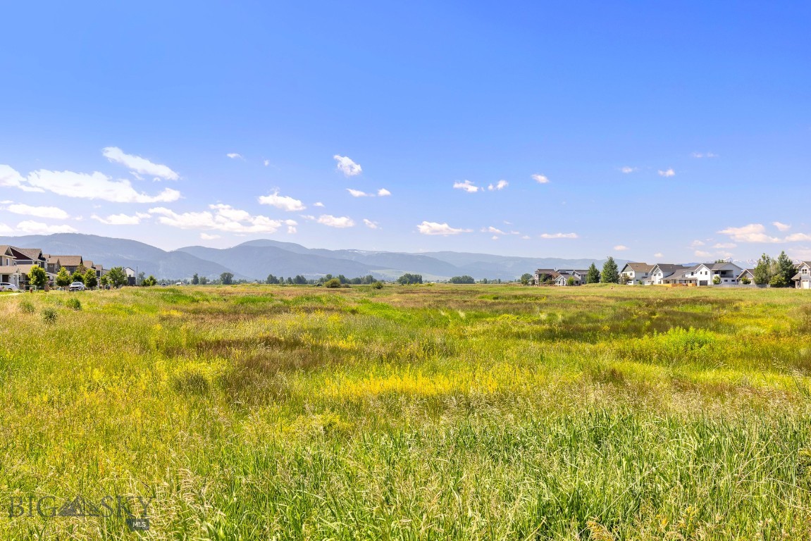 Meadow Bridge - Land