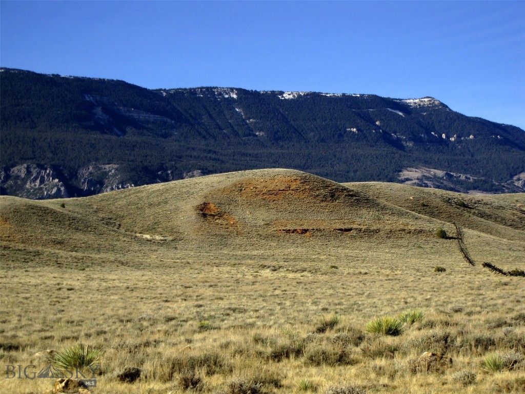 If remote is your dream with lots of seclusion and isolation, these 20 acres at the foot of the Pryor Mountains may be just for you! Great views and no neighbors for miles. Power is miles away, cell phones offer spotty coverage, but the beauty of the east face of the Pryor Mountains loom several thousand feet over you, with the Bighorn Mountains to the east and the Bighorn Canyon in-between. No one lives within 20 miles of this property, only antelope, sage grouse, mule deer, wild horses, Bighorn sheep and elk on occasion. It is on a county road that has limited maintenance and none in the winter. The nearest town is Lovell, Wyoming, population 2400, about 30 miles to the south, while your mailing address is Bridger, Montana, about 78 miles by road around to the other side of the Pryor Mountains! For recreation, it is 1.5 miles north of the Bighorn Canyon National Recreation Area, a treasure of public land in your backyard where you find wild horses, bighorn sheep, 1000 foot cliffs and canyons, not to mention miles of water for boating and fishing. Year-round access to the property with a 4x4 could be possible, but may require snowplowing in the winter.  Owner financing is available with 20 to 30% down.