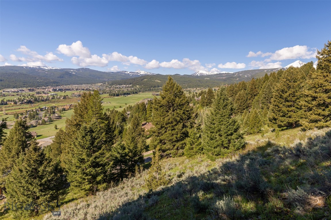 Sweetgrass Hill - Land