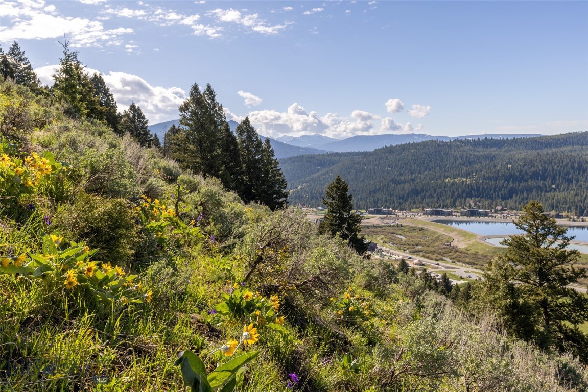 Sweetgrass Hill - Land