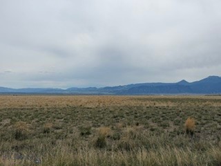 Minor Subdivision - Land