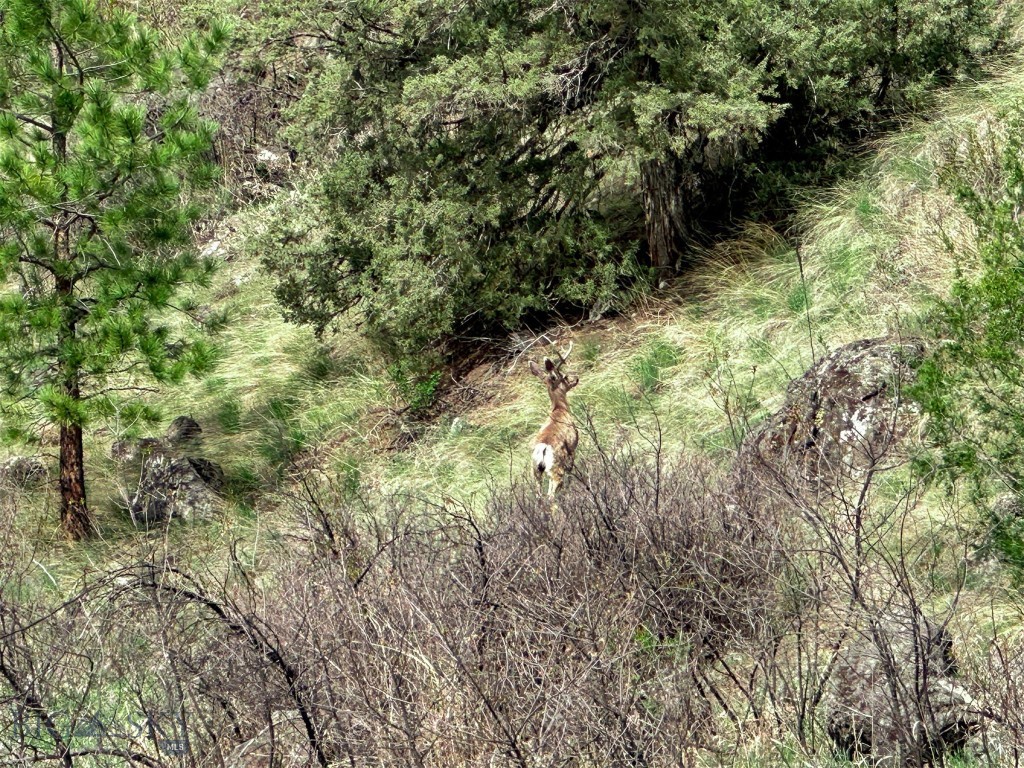 Other - Land