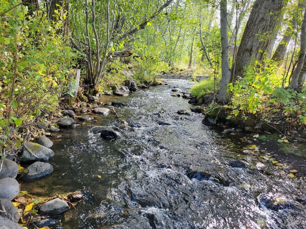 Rare Hyalite Creekfront Lot in South Bozeman – Seller Financing Available! $10,000 buyer credit available for site cleanup!

Don’t miss this once-in-a-lifetime opportunity to own one of the last buildable lots on Hyalite Creek! This picturesque 1-acre property boasts mature trees, direct creek frontage, and unbeatable access to outdoor recreation—all just a 10-minute drive to downtown Bozeman.

Priced below appraisal, making this an ideal opportunity for both investors and dream-home builders.  Ask me for the appraisal, I'll share it with you!

Property Highlights:

1 acre with creek frontage and mature trees

Located in desirable South Bozeman, only 1.2 miles from National Forest land adjoining Yellowstone National Park

Easy access to Hyalite Reservoir, hiking, mountain biking, cross-country and ice skiing, rock/ice climbing, fishing, hunting, and more

No zoning restrictions; protective covenants (from the 1980s) allow for residential use

Water line already to the lot

Approved buildable site by DEQ/County—not in a floodplain

Buyer to install septic system

Whether you're looking to build a private retreat or invest in a piece of Montana's most iconic landscape, this property delivers the perfect combination of natural beauty, freedom, and location.