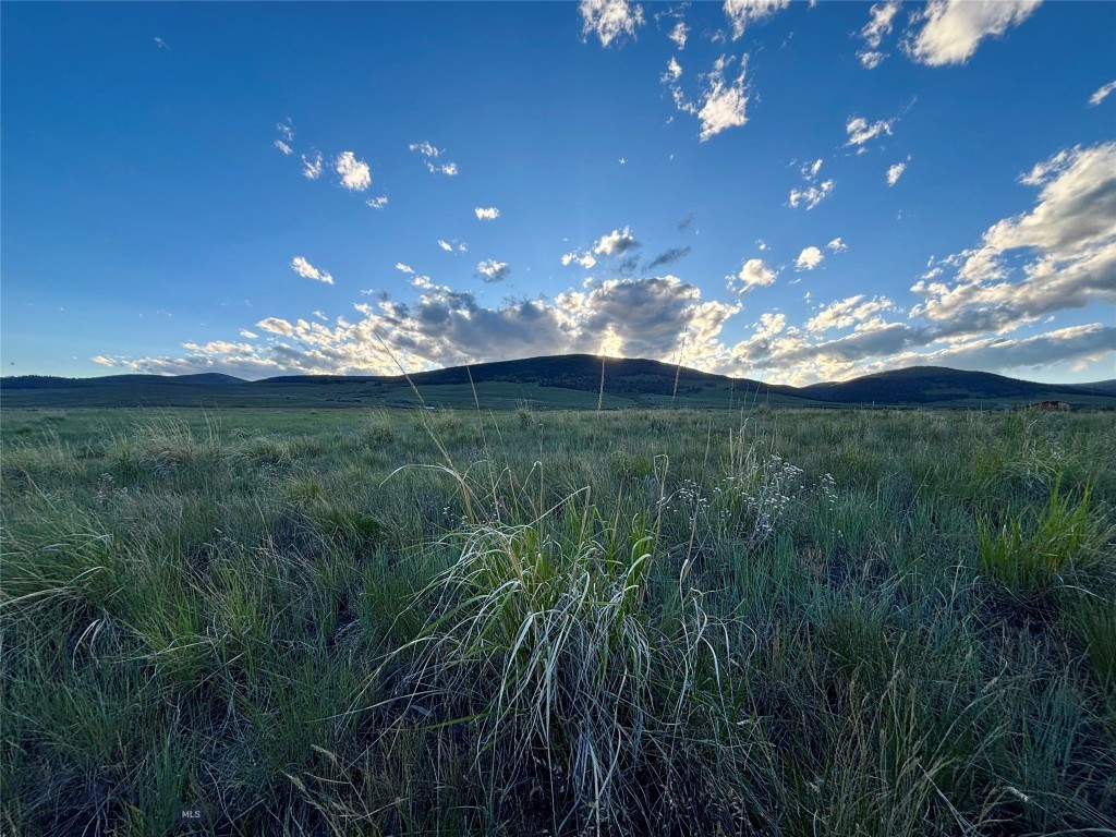 Other - Land