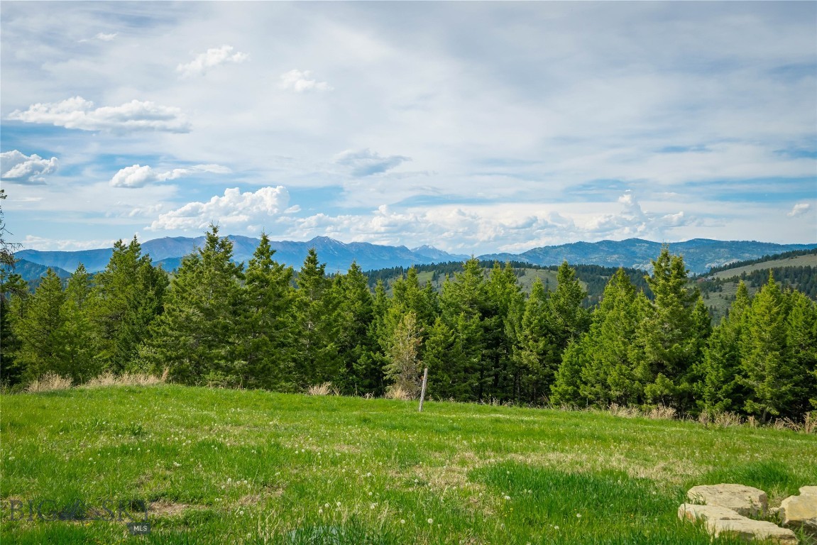 Timberline Creek - Residential