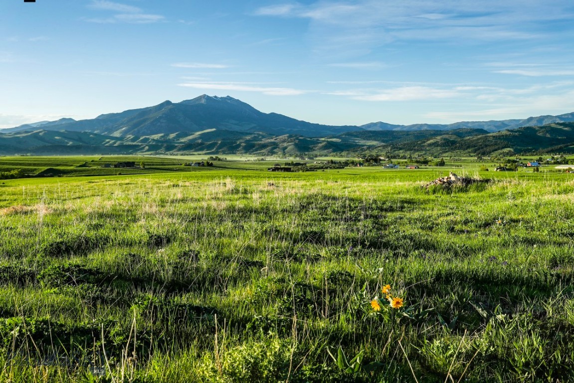 1903 Mount Ellis Lane encompasses 119± acres in Bozeman’s highly sought after southeast corridor, offering a rare combination of scale, privacy, and proximity to town. The property includes an older farmhouse with a long term renter in place, providing flexibility and interim income while future plans are considered. Zoned Agricultural and Rural Residential, the land is free of covenants and conservation easements and borders state land with nearby Forest Service access. Gently expansive in feel, the property features perimeter fencing, a driveway already installed, pond has been excavated and electric pulled to the build site. Panoramic views stretch across surrounding farmland, the valley floor, and multiple mountain ranges, all just minutes from Bozeman. Locati Architects plans (including main home and shop) are available and negotiable with the sale, presenting a compelling opportunity to create a legacy estate or thoughtfully planned retreat in one of the area’s most desirable settings.