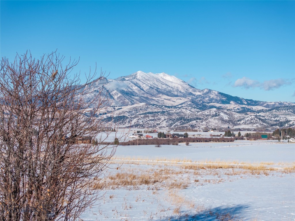 Other - Land