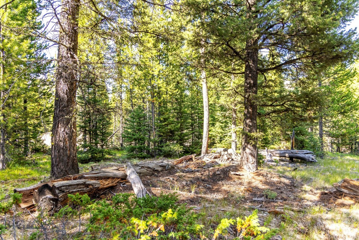 Ranches Neighborhood - Land