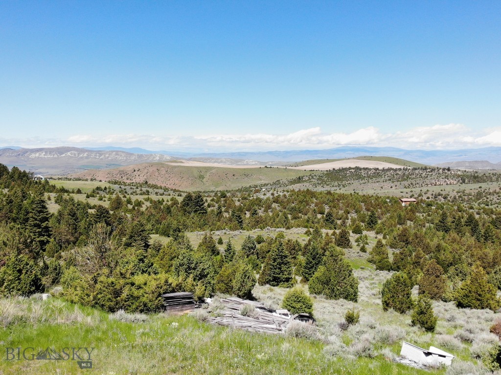 Ponderosa Pines - Land