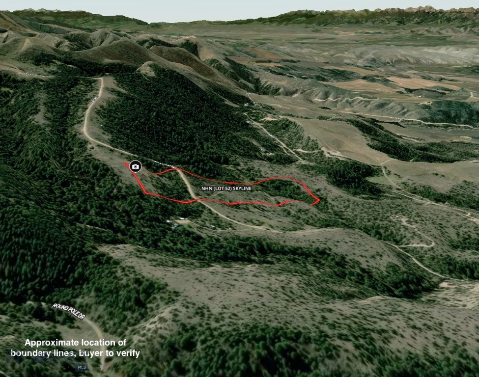 Ponderosa Pines - Land