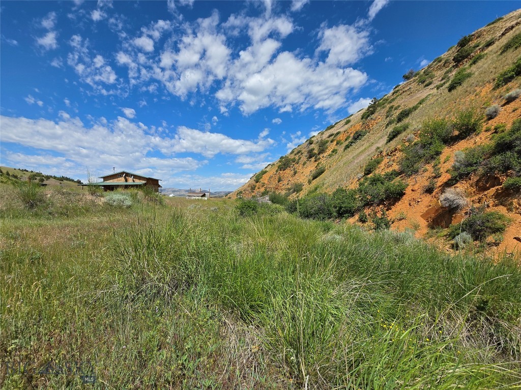 Ponderosa Pines - Residential