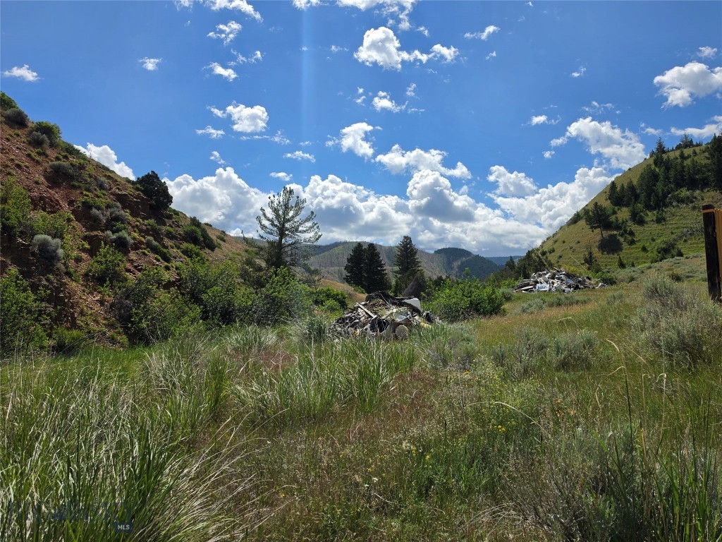 Ponderosa Pines - Residential
