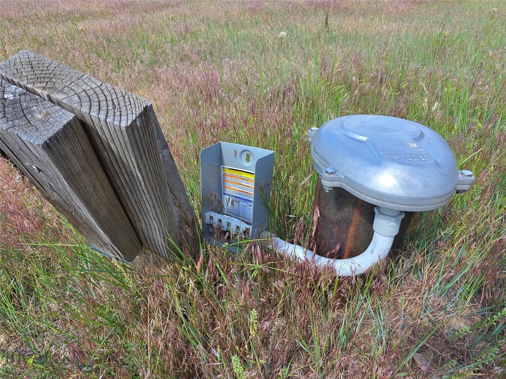 Ponderosa Pines - Residential