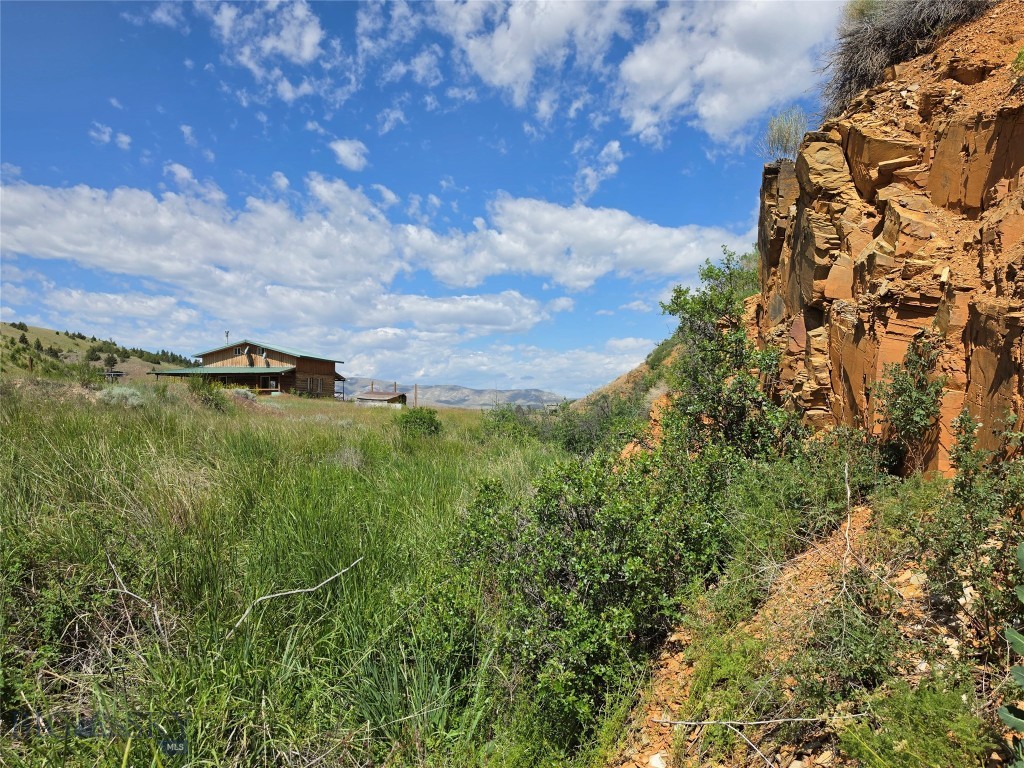 Ponderosa Pines - Residential