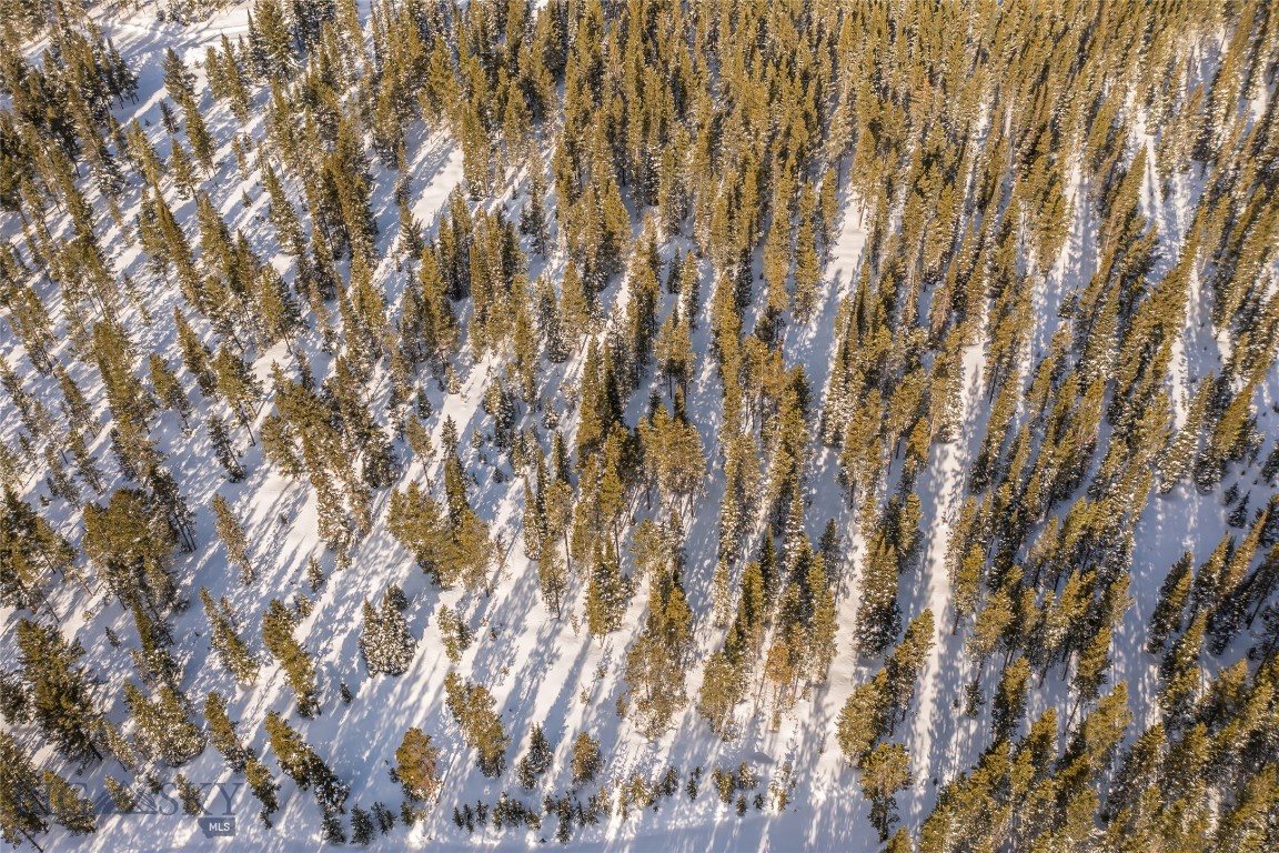 Lost Trails - Land