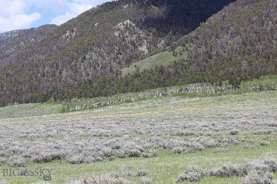 Sportsmans Paradise - Land