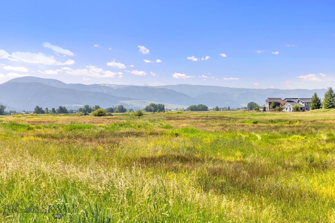 Meadow Bridge - Land