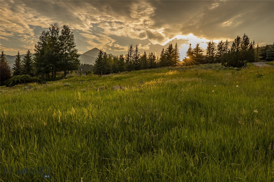 Sweetgrass Hill - Land