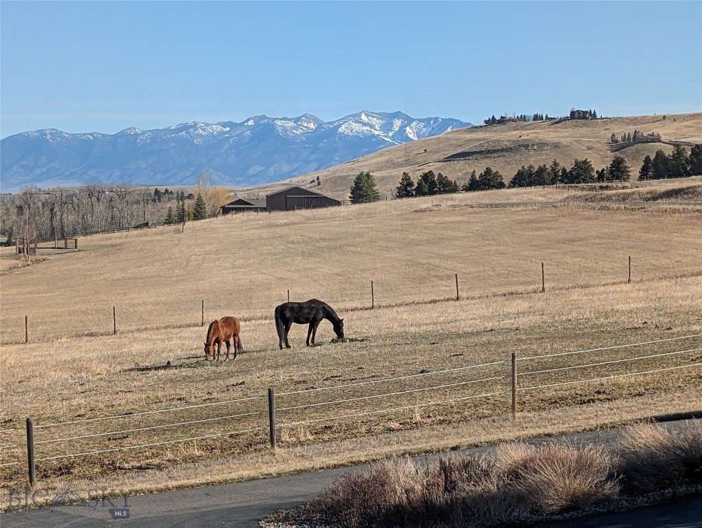 Bear Creek Properties - Residential