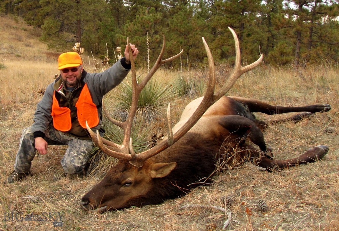 None - Land