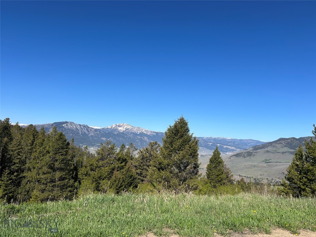 Own a Piece of Montana Gold Country – 7.7-Acre Patented Mining Claim Near Yellowstone

A truly rare opportunity to own 7.7 acres of patented hard-rock mining property in one of Montana's most spectacular and sought-after recreational areas. Situated just ¼ mile from the Yellowstone National Park boundary and approximately ½ mile from the Absaroka-Beartooth Wilderness, this remarkable parcel offers a combination of history, privacy, wildlife, recreation, and breathtaking scenery that is nearly impossible to duplicate.

Perched above the legendary Hell's A-Roarin' region and neighboring the renowned Crevice Mountain Lodge, this unique property enjoys million-dollar panoramic views overlooking Yellowstone National Park, surrounding mountain ranges, and vast wilderness landscapes.

The claim lies along a well-known elk migratory route, providing front-row access to one of nature's greatest spectacles. Wildlife sightings are common and may include elk, mule deer, moose, foxes, wolves, eagles, and bears, creating an unmatched outdoor experience for nature enthusiasts, photographers, hunters, and conservation-minded landowners.  There are multiple building sites as well. 

Rich in mining history, this patented claim features hard-rock mineralization, with sparkling rock outcroppings that showcase the area's historic gold-bearing geology. Whether you're fascinated by Montana's mining heritage, seeking a private mountain retreat, or looking for a unique investment property, this land offers endless possibilities.

During the warmer months, the property comes alive with colorful wildflowers, including beautiful glacier lilies and other native alpine blooms that blanket the mountainside. Surrounded by both private lands and public lands, the setting provides a rare balance of accessibility and seclusion.
Properties of this caliber are exceptionally scarce. Combining the legacy of Montana's gold rush era with proximity to Yellowstone, wilderness access, abundant wildlife, and unforgettable views, this is more than land—it's an opportunity to own a piece of the American West.

Where history, wilderness, wildlife, and Yellowstone views meet, you'll find this extraordinary Montana mining claim.