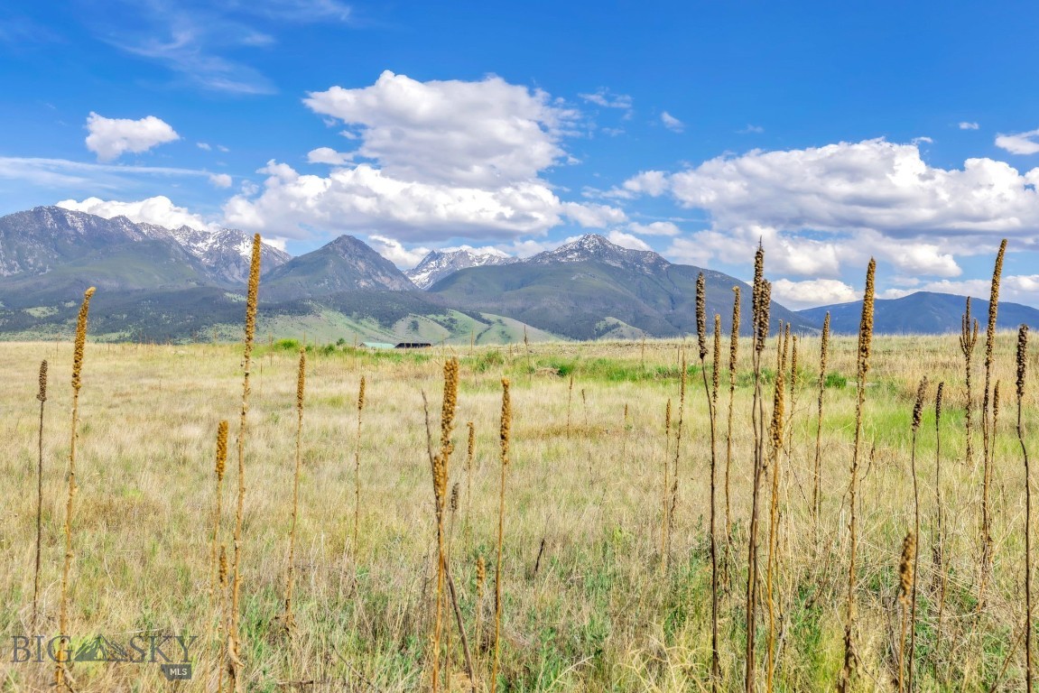 20.548 acres of prime Montana land with sweeping mountain views, privacy, and room to build your dream home. Located at the end of the road and backing larger ranch lands, this exceptional property offers a peaceful setting, usable terrain, and convenient access to Livingston, Bozeman, recreation, and public lands. Enjoy the beauty of Big Sky Country with endless possibilities for a custom home, horse property, or investment opportunity. A rare chance to own a stunning piece of Montana with space, views, and freedom to create your vision.