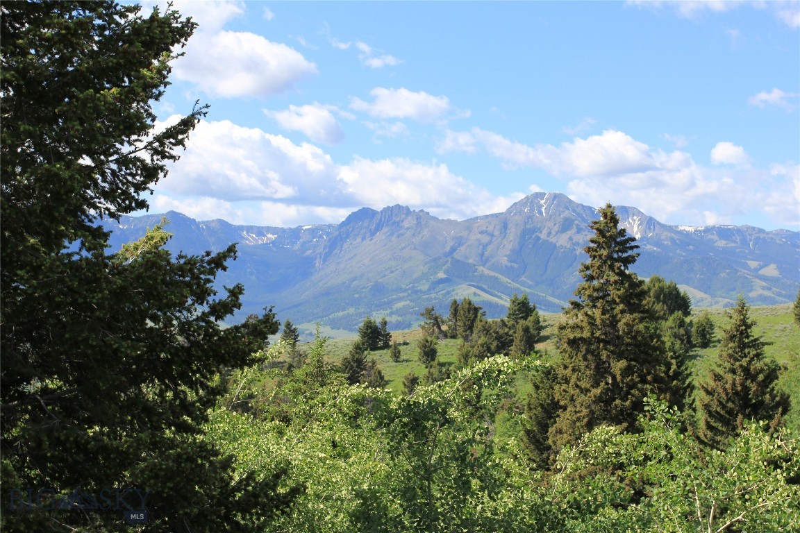 Grizzly Meadows - Residential