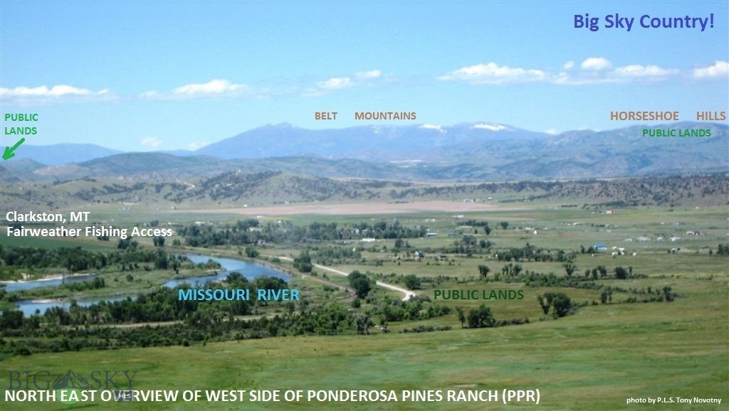 Ponderosa Pines - Land