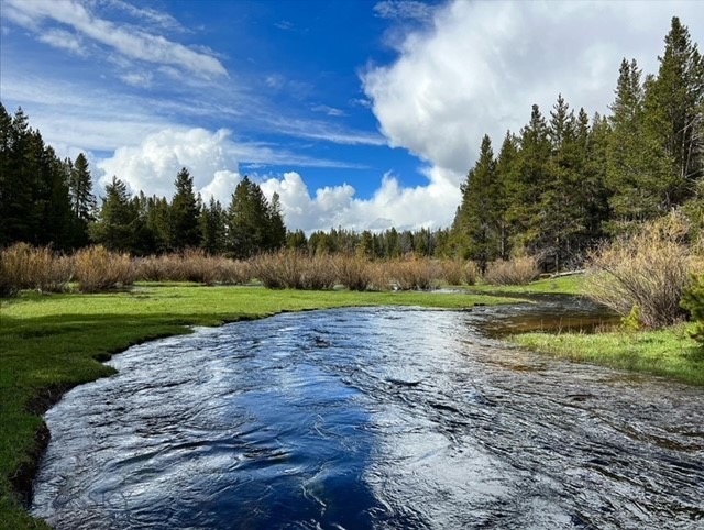 The Big Hole River Ranch presents an unrivaled opportunity for those seeking a life intertwined with the wilderness. Spanning approximately 515 acres, a harmonious blend of lush meadows, dense timber, and over two miles of pristine Big Hole River frontage. There is an option to purchase a 203 acre portion of the ranch along the Big Hole River. The ranch’s unique location along the riverbanks provides a sanctuary for an astonishing array of wildlife, including deer, elk, moose, and excellent fishing. Private 4,000-foot grass airstrip, providing easy access for aviation enthusiasts. Senior water rights covering 232 acres. Cabin is 2,100, square feet, featuring three bedrooms and two baths. The property also includes a 48’ x 38’ foot horse barn with four stalls, and a 5 acre building envelope, offering the potential for expansion or customization. Conservation Easement in place. The seller is open to selling off a 203 acre portion of the ranch.