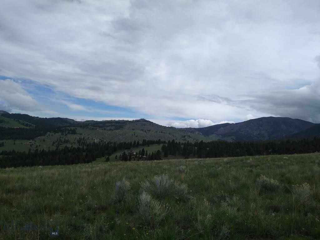 Other - Land