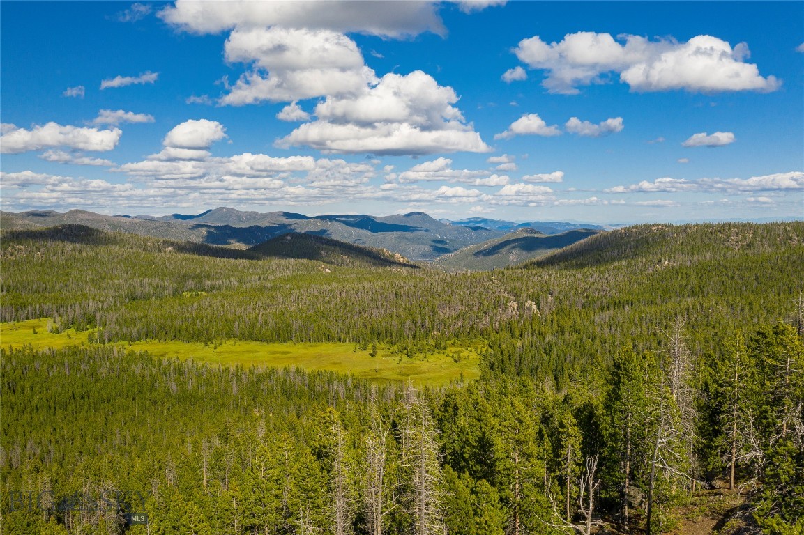 Tucked high in the mountains above Butte, East Ridge Park is a rugged Montana property presenting a rare opportunity to own a section of the iconic Continental Divide Trail which passes through it's western edge. This Forest Service inholding offers privacy with well-timbered hillsides and relatively level meadow ground with seasonal water surrounded by 1000's of acres of public lands. Bordering Our Lady of the Rockies monument, this property offers solitude and unmatched access to Deerlodge National Forest. Located within Hunting District 350—known for its elk and deer populations—the property is well suited as a private mountain retreat, a hunting basecamp, or a conservation-minded investment. Three miles west of Delmoe Lake. (Due to Forest Service wildlife management restrictions, mechanized vehicular access is permitted across the Forest Service land throughout the winter but horse or foot traffic access only in the summer.)