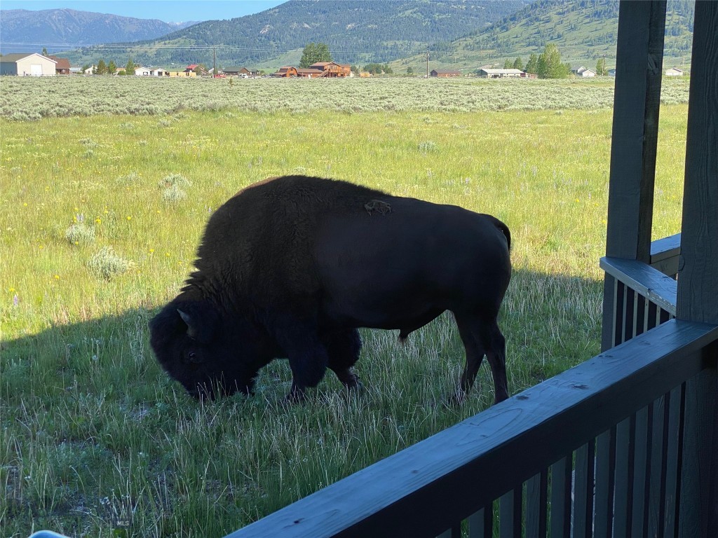 Grayling Arm Meadows - Residential