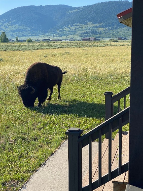 Grayling Arm Meadows - Residential